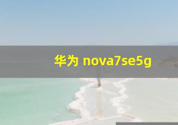 华为 nova7se5g